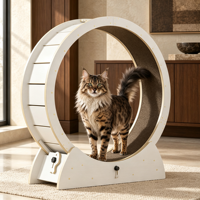 Tapis roulant silencieux pour chat, avec rouleaux rotatifs, en bois, design écologique