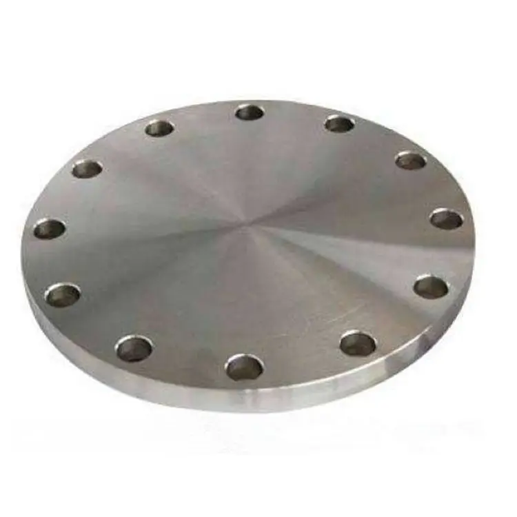 Top Quality Carbon Steel 304 316L SS 5 Hole Blind Flange