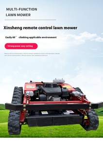 เครื่องตัดหญ้าแบบรีโมทคอนโทรล 190 ซีซี 4 จังหวะ สำหรับทุกสภาพพื้นผิว เครื่องตัดหญ้า DIY สำหรับจัดสวน ประเภทสินค้า Y - Product Image 5