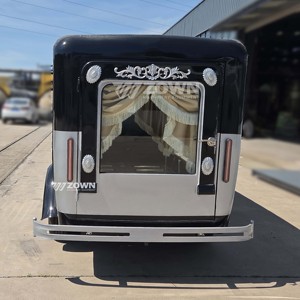 Cercueil funéraire personnalisé à vendre, charrette funéraire à vendre, cercueil funéraire électrique classique antique à bon prix - Product Image 6