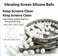Billes en silicone solide résistantes à la chaleur, haute élasticité, pour le nettoyage des écrans et des tamis vibrants, nettoyage à sec