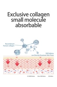 Masque Hydrogel de Nuit pour Soins du Visage Coréen de Marque Privée 34g Masque Bio-Collagène Réel Profond Hydratant Minimisant les Pores - Product Image 6