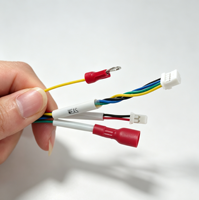 Câble de raccordement personnalisé OEM avec connecteur JST multipin, faisceau de câblage interne à bornes annulaires multi-branches