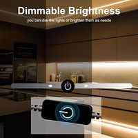 Ruban LED COB Personnalisable Étanche IP68 Dimmable Ra90 Ra80 5V 12V 24V 3000K 4000K 6000K 3mm 5mm 8mm