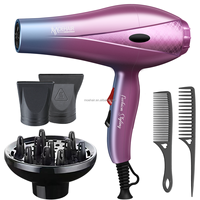 Moehair-Ensemble sèche-cheveux 5 en 1 violet, 1000W, moteur électrique DC, diffuseur et buse pour hôtel, usage domestique