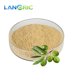 Экстракт листьев оливы Lanoric Supply CAS 32619-42-4 в порошке, 20%, 40%, 70% олеуропеин - Product Image 1