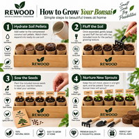 Kit Pohon Bonsai DIY Kerajinan Berkebun Dalam Ruangan untuk Kit Pemula Lengkap 22-Potong dengan 5 Varietas Benih Bonsai Jepang