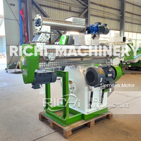 Machine extrudeuse de granulés d'aliments pour animaux RICHI - Machine à granulés économe en énergie pour aliments pour poulets 1000 kg/h