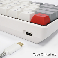 Penjualan Laris Keyboard Mekanik SK61 61 Tombol Gateron 60% Rgb