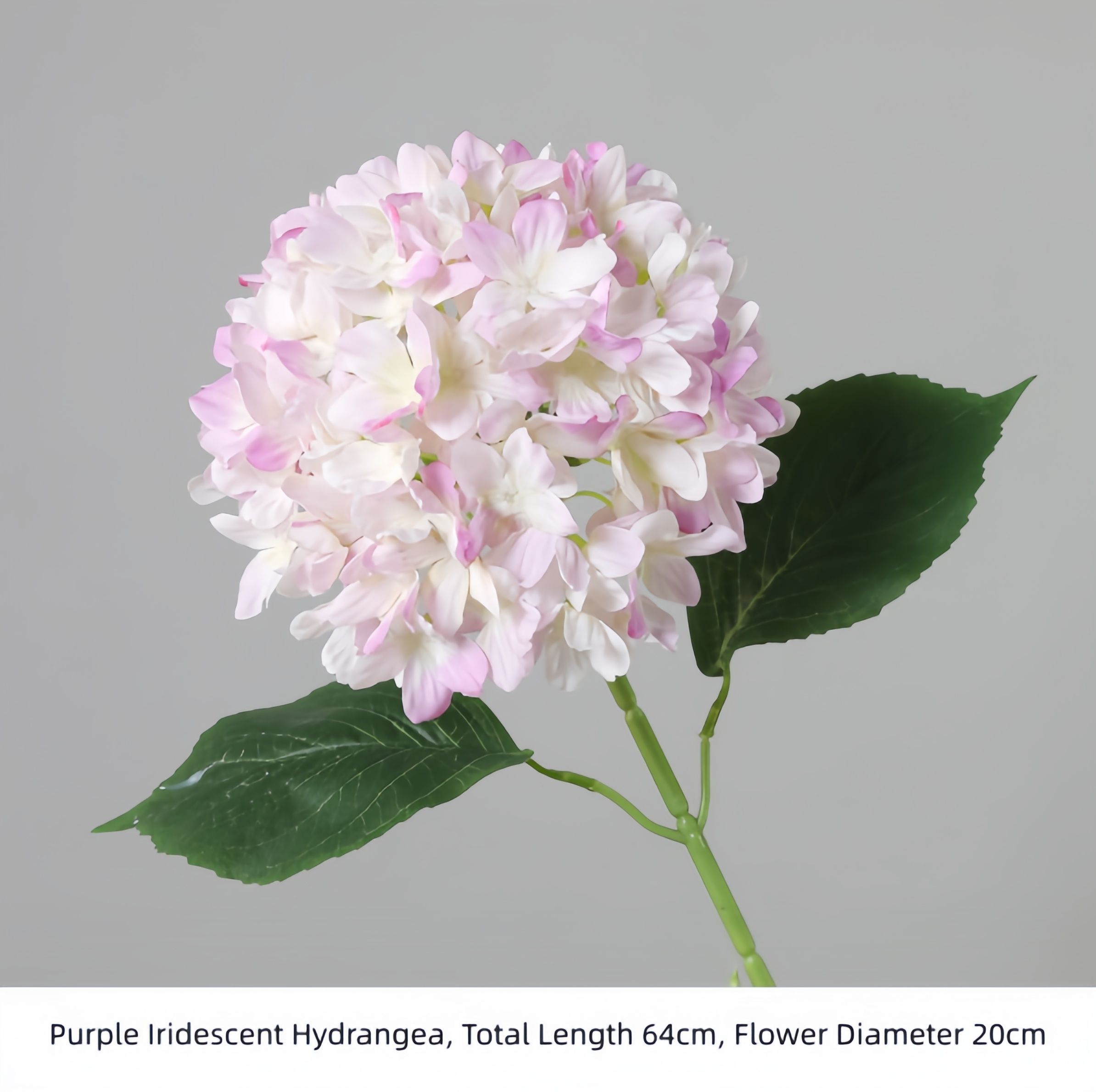 Purple Iridescent Hydrangea