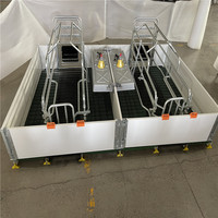 Cage de mise bas galvanisée de haute qualité pour élevage de porcs, enclos pour truies