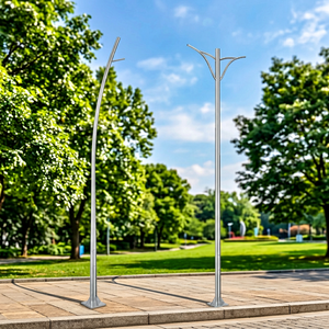 Poste de Luz Inteligente para Exteriores de Metal de 5M, 6M, 7M, 8M y 9M, Sistema de Control Inteligente, Diseño Personalizable Adaptado a Diversas Necesidades - Product Image 1