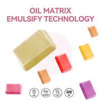 Bonbons à mâcher à la racine de betterave à marque privée, technologie d'émulsification d'huile, produits de beauté, favorise le métabolisme énergétique, sans gluten