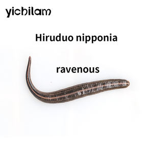 Hungry Live Sanguijuelas para extractos animales con Hirudin - Product Image 2