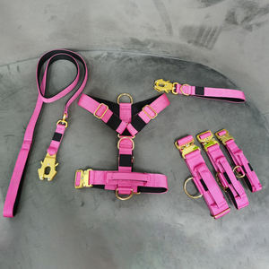 Pabrik OEM tahan lama kuat tugas berat tidak ada tarik nilon anjing <span class=keywords><strong>Harness</strong></span> kualitas tinggi Fashion olahraga tali kerah Set - Product Image 6
