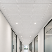 Panneau de plafond suspendu en aluminium léger, dalles de plafond acoustiques perforées en métal pour la décoration de bureaux commerciaux