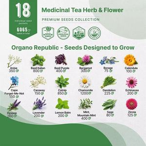 10 pack d'herbes culinaires non génétiquement modifiées pour jardin d'herbes d'intérieur/extérieur, y compris <span class=keywords><strong>basilic</strong></span> menthe 3000 + pots de fleurs pour le sol - Product Image 4