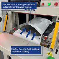 Machine d'emballage électrique à poussée plate haute productivité pour la plupart des produits, ensacheuse automatique intelligente à grande vitesse