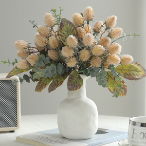 <span class=keywords><strong>Fleurs</strong></span> <span class=keywords><strong>de</strong></span> Banksia australiennes <span class=keywords><strong>de</strong></span> qualité supérieure - <span class=keywords><strong>Fleurs</strong></span> séchées naturelles pour la décoration <span class=keywords><strong>de</strong></span> mariage/maison/<span class=keywords><strong>Livraison</strong></span> rapide - Product Image 2