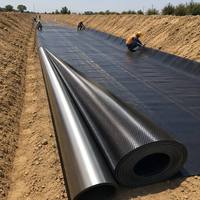 Géomembrane HDPE noire cloutée, haute résistance à la perforation, anti-corrosion, pour le stockage d'eau en réservoir et les travaux anti-infiltration