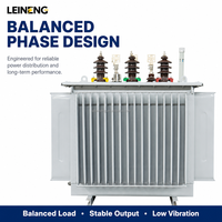 Transformador Trifásico de Montaje en Poste LEINENG 10kva 25kva 50kva 100kva 150kva 300kva 500kva 1000kva