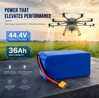 Paket Baterai Li-ion 12S 36Ah 350Wh/kg Baterai Densitas Energi Tinggi untuk Modul Kamera Thermal RGB UAV Pertanian China