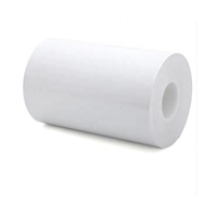 Usine Uv Dtf Transfert ab Pet Film Rouleau 30*100cm ab Film Transfert Dtf A3 30 cm Uv Dtf Film D'impression