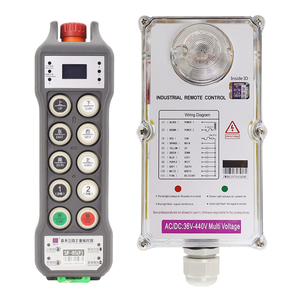 Bronfabrieksprijs met biometrische vingerafdrukbeveiliging, 8 drukknoppen, enkelvoudige snelheid, afstandsbediening voor kraanveiligheid - Product Image 1