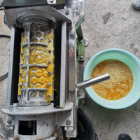 Commerciële pulpmachine met schroef, type 304 roestvrij staal, capaciteit 500-3000 kg/uur, voor fruit- en groenteverwerking