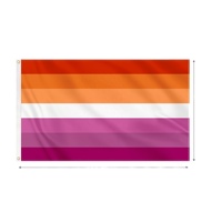 Drapeau lesbien OEM, bannière coucher de soleil 3x5ft, impression numérique personnalisée sur polyester, vente en gros d'usine, événements nationaux personnalisés