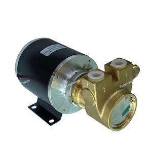 Bomba de paletas rotativas Procon de bronce de 12 V sin escobillas con presión variable ajustable para sistemas de desalinización por ósmosis inversa - Product Image 1