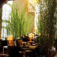 Arbre artificiel en bambou de 1,5 m, plante verte artificielle, pot de bonsaï, arbre en bambou en plastique pour la décoration intérieure et extérieure