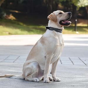 Collar para Perro Grande, Estilo <span class=keywords><strong>Punk</strong></span>, Resistente a Mordeduras, con Púas, de Cuero, al por Mayor - Product Image 1