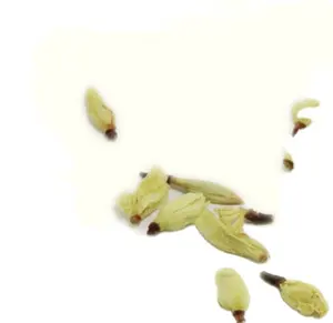 Flores de Murraya secas naturales, capullos de flores de Murraya <span class=keywords><strong>paniculata</strong></span> secos y crudos para té - Product Image 1