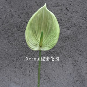 ดอกปาล์มประดิษฐ์ลายสามมิติสำหรับตกแต่งงานแต่งงานจาก Secret Garden - Product Image 3