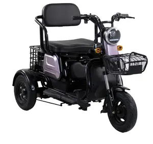 48 V/60 V 500W elektrikli yolcu üç tekerlekli bisiklet yetişkinler için yaşlı veya engelli