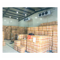Chambre froide mobile de 15 tonnes pour tomates, équipement de congélation pour crème glacée, capacité 5000 tonnes, pour entrepôt frigorifique à Dubaï