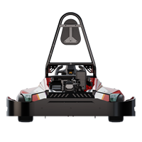 Kart de course professionnel Rocket Badger 160cc, moteur à essence 4 temps, freinage hydraulique, acier chromoly 4130, kart d'extérieur, puissance 2kW