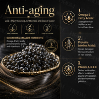 Serie de Cuidado Capilar de Lujo con Caviar OEM/ODM - Champú, Aceite y Mascarilla Capilar Sin Sulfatos con Logotipo Personalizado para Fábrica de Marca Privada de Lujo