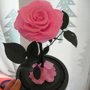 2025 anni all'ingrosso fatto a mano bellezza eterno conservato rose fiore In vetro cupola fiori classici per natale Valentbest qualità - Product Image 3