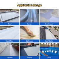 Revêtement imperméable en polyuréthane, peinture imperméabilisante à base d'eau PU pour extérieur, entrepôt, salle de bain, résistant aux UV, garantie à vie