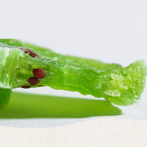 Kiwi secchi all'ingrosso della fabbrica di zucchero di Kiwi verde secco aggiunto prezzo a buon mercato - Product Image 2