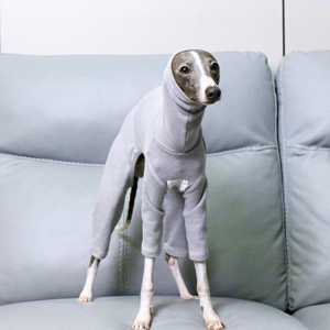 Camiseta para Perro de Cuatro Patas, para <span class=keywords><strong>Galgo</strong></span> Italiano XXL, Suave, Elástica, Delgada, de Poliéster, para Todas las Estaciones, CHOUCHOU-28 - Product Image 5