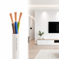 Ästhetisches Weiß/Graues RVV 3-adriges 2,5mm² Flexibles Elektrokabel für Moderne Büroeinrichtung