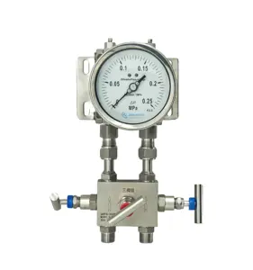 Low pressure gauge Value VMG-1-S-L-R32