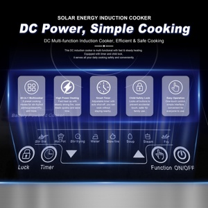 Fornello a Induzione Singolo OEM ad Alta Efficienza 24V/48V DC, Alimentato a Batteria, Impermeabile, Portatile per Camper e Viaggi all'Aperto - Product Image 3