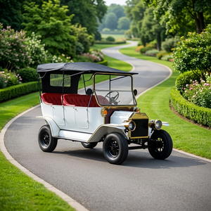 Carrito de Golf Eléctrico Clásico Vintage de 5 Plazas en Venta - Product Image 1