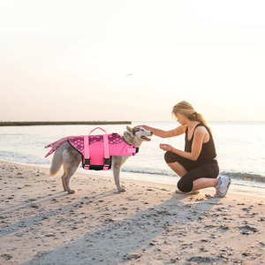 Chaleco <span class=keywords><strong>salvavidas</strong></span> para <span class=keywords><strong>perro</strong></span> <span class=keywords><strong>salvavidas</strong></span> con estampado de tiburón ajustable ligero personalizado impermeable verano/invierno estilo clásico para perros - Product Image 5