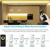 C206Z Aipin MESH Group&Sync Zigbee Smart CCT LED Strip Light Universal PWM Controller 4-Zone Remote IP20 DC12-24V 360W App CE