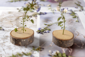 Clochette canterrie naturelle avec Branches, artisanat à faire soi-même, plante naturelle, <span class=keywords><strong>fleur</strong></span> pressé, écologique - Product Image 3